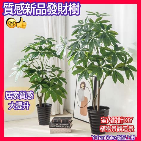 假盆栽 風水|【家中假樹風水】假綠植的風水講究 